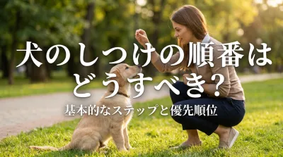犬のしつけの順番はどうすべき？しつけの基礎と推奨順序を解説