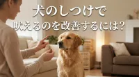 犬のしつけで吠えるのを改善するには？