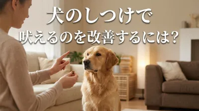 犬のしつけで吠えるのを改善するには？