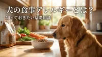 犬の食事アレルギーとは？