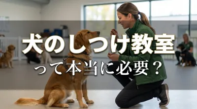 犬のしつけ教室って本当に必要？