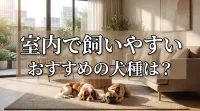 室内で飼いやすいおすすめの犬種は？