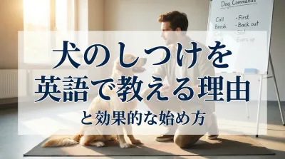 犬のしつけを英語で教える理由と効果的な始め方