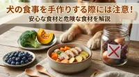 犬の食事を手作りする際には注意！安心な食材と危険な食材を解説