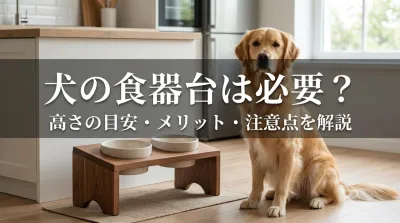 犬の食器台は必要？高さの目安・メリット・注意点を解説