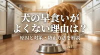 犬の早食いがよくない理由は？原因と対策・防止方法を解説