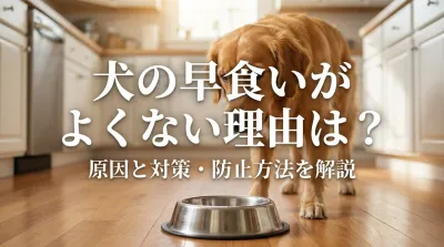 犬の早食いがよくない理由は？原因と対策・防止方法を解説