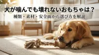 犬が噛んでも壊れないおもちゃは？種類・素材・安全面から選び方を解説