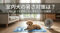 室内犬の暑さ対策は？初心者でも失敗しない基本とコツを解説